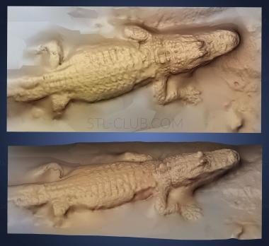 3D model Albino alligator (STL)